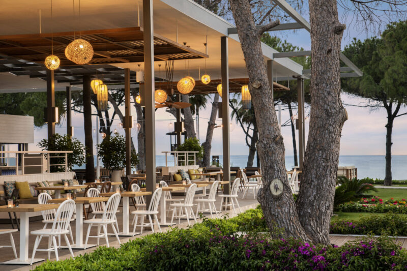 Acanthus Cennet Barut Collection
