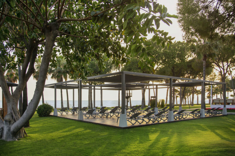 Acanthus Cennet Barut Collection