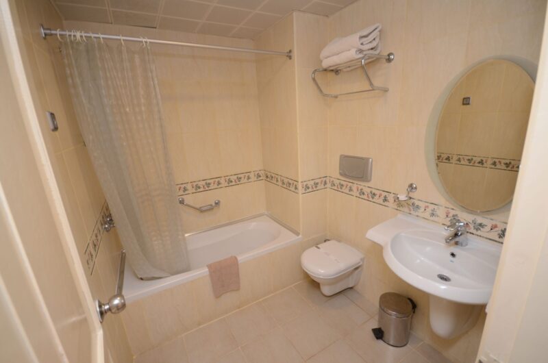 Alenz Suite