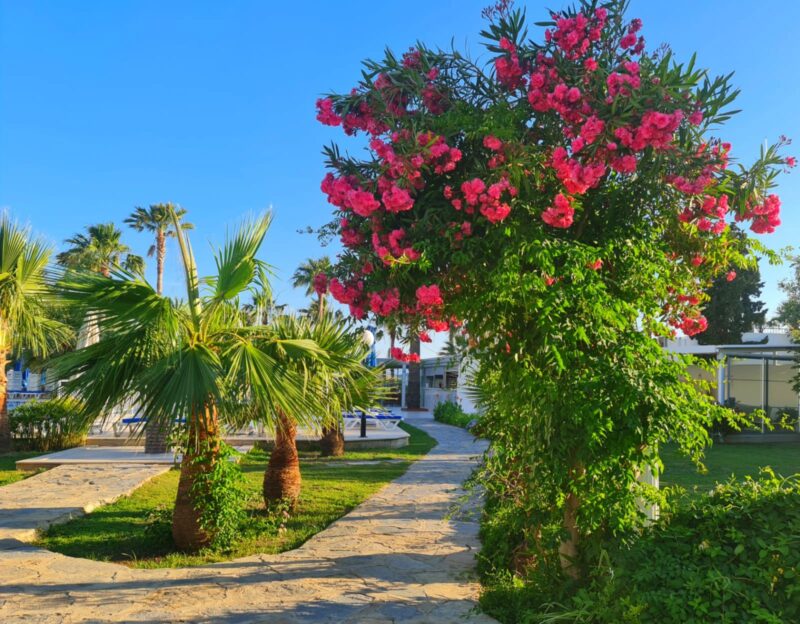 Nagi Beach