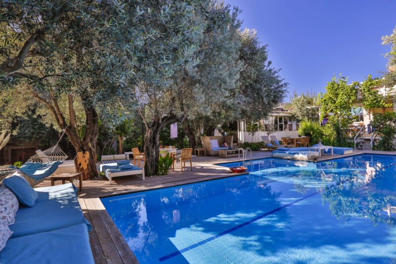 Oyster Residence